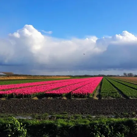 Caravan Stadstuin Let Op De Badkamer Moet Met Andere Gasten Gedeeld Worden Bed & Breakfast *