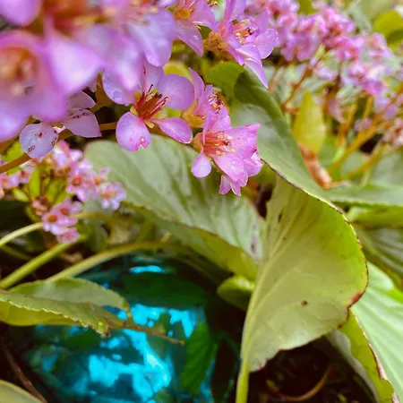 Caravan Stadstuin Let Op De Badkamer Moet Met Andere Gasten Gedeeld Worden فندق مبيت وإفطار