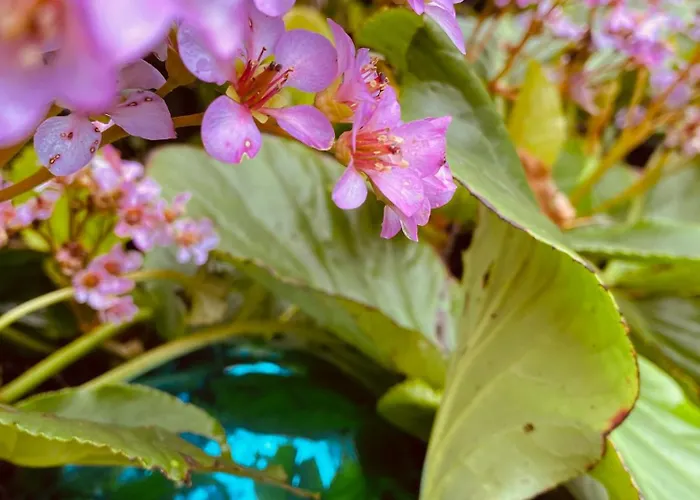 Caravan Stadstuin Let Op De Badkamer Moet Met Andere Gasten Gedeeld Worden Nocleg ze śniadaniem