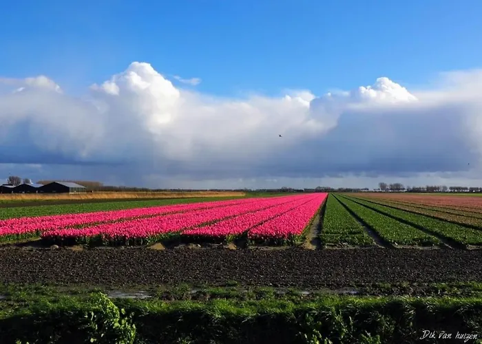 Caravan Stadstuin Let Op De Badkamer Moet Met Andere Gasten Gedeeld Worden Bed and breakfast *